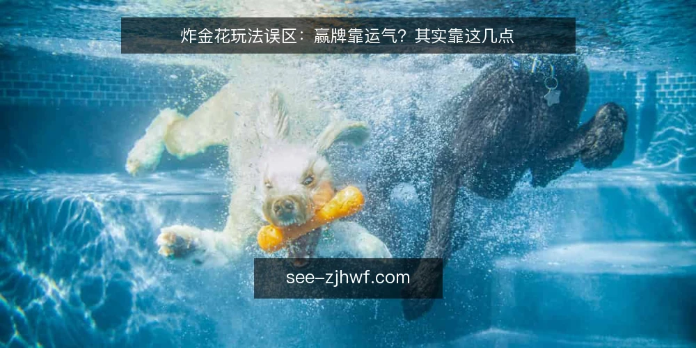 炸金花玩法误区：赢牌靠运气？其实靠这几点 — 误区：炸金花玩法全靠运气，技术没用 配图