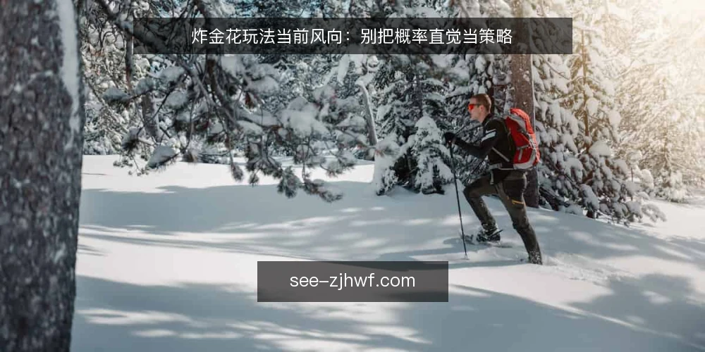 炸金花玩法当前风向:别把概率直觉当策略 — 近期炸金花玩法讨论中的三个信号 配图