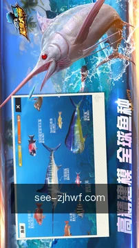 离线牌库
